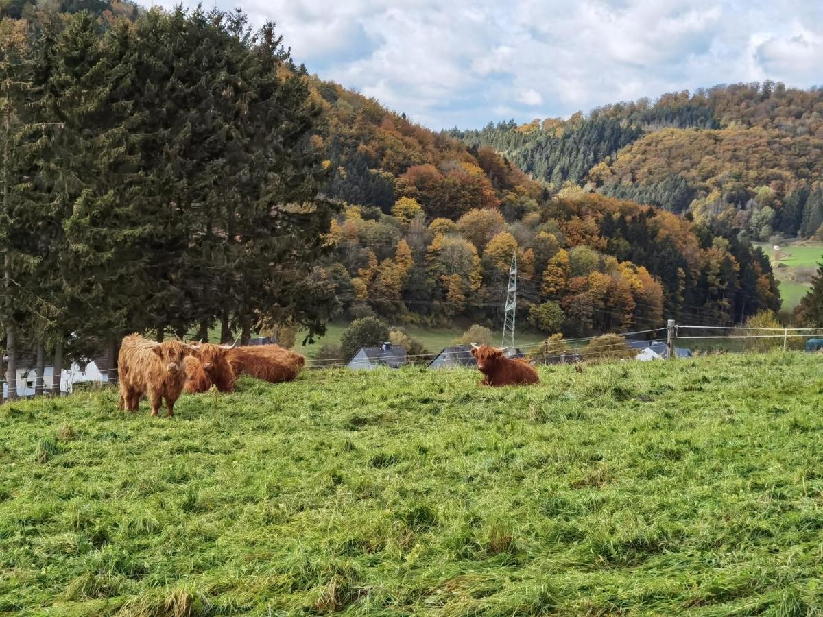 Hébergement de vacances Waldblick Hohenfels-Essingen