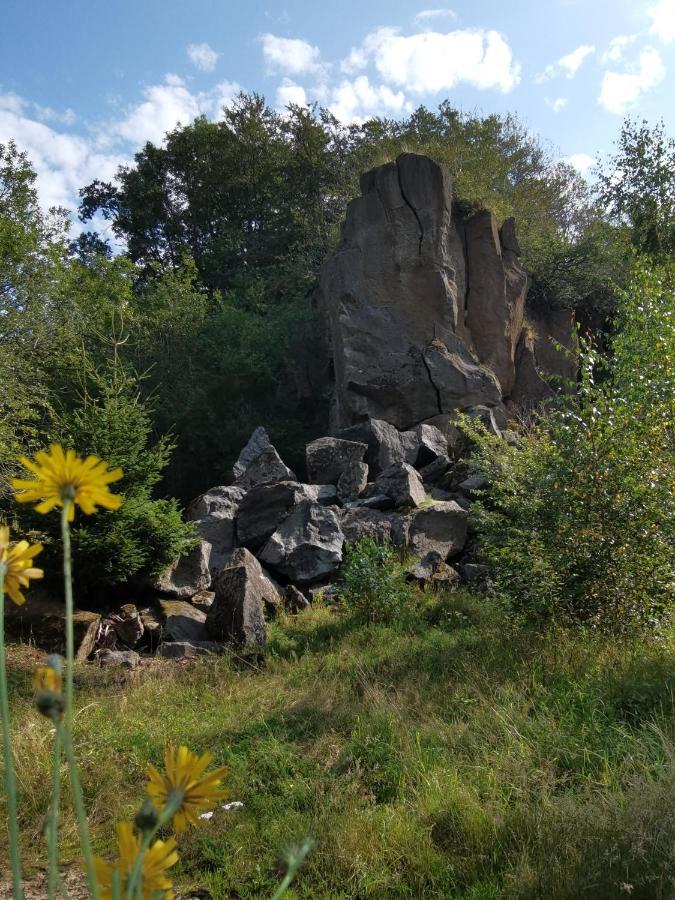 Hébergement de vacances Waldblick