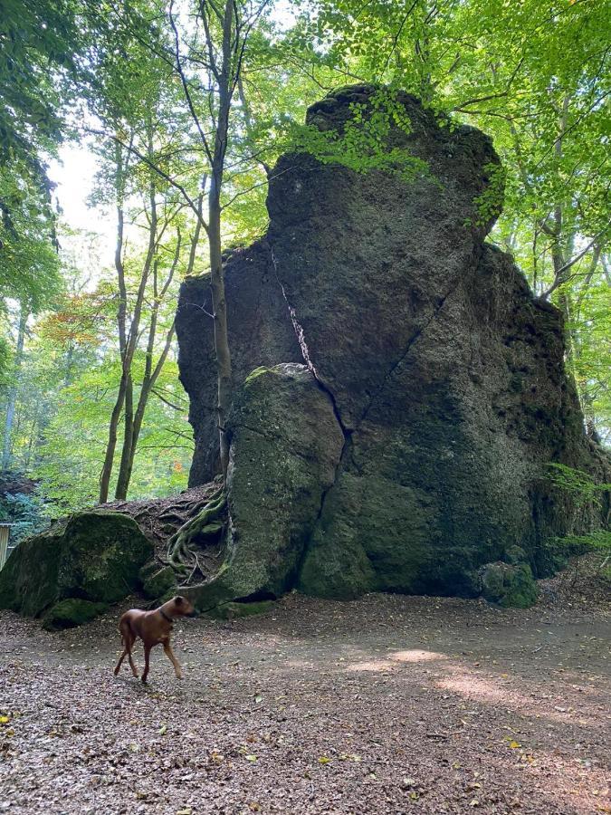 Waldblick Hébergement de vacances Hohenfels-Essingen